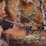 TRUE LEAVES CAMO
