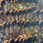 Thunder Chicken Turkey Feathers  hydrographic hydro dip film