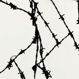 BARBWIRE FENCE