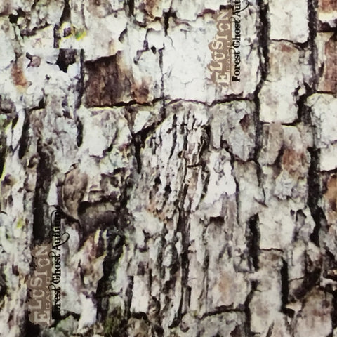 FOREST GHOST TREE BARK