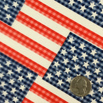 LARGE SEMI TRANSPARENT AMERICAN FLAG
