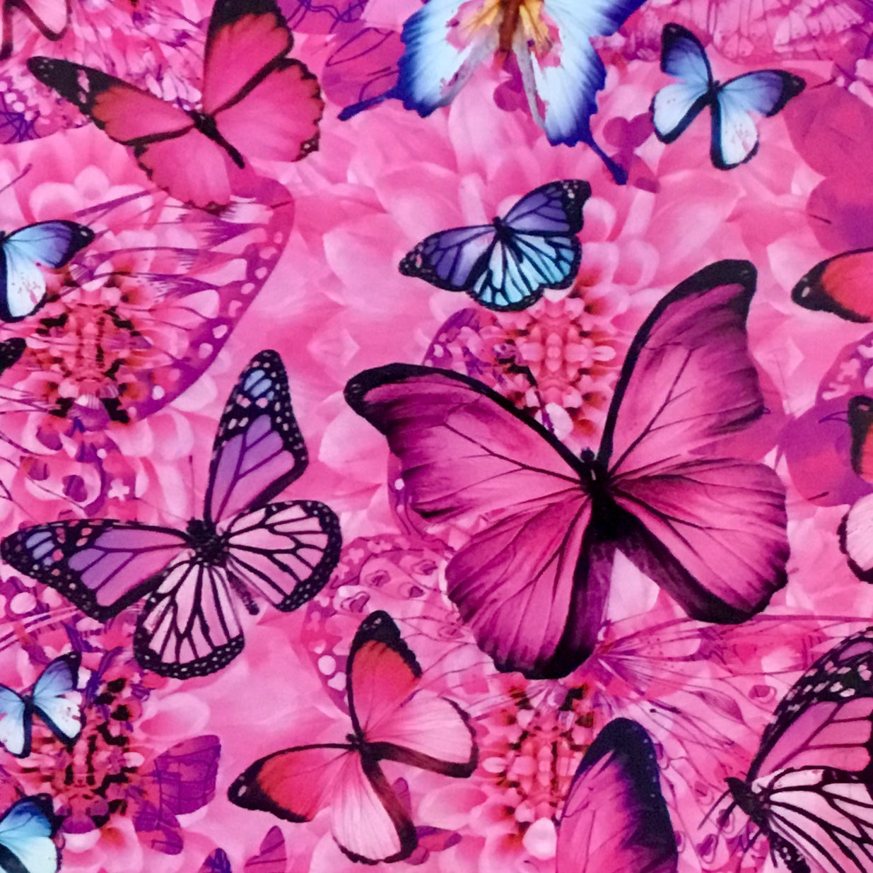 PINK/BLUE BUTTERFLIES HYDROGRAPHIC FILM – Dip Pros