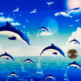 DOLPHINS