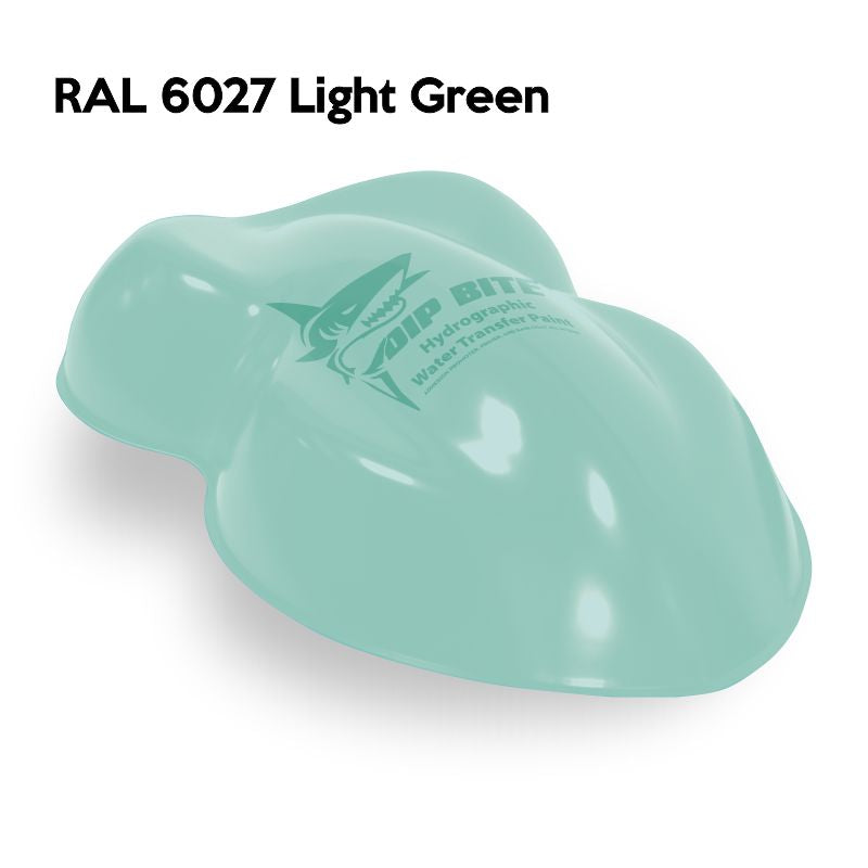 Mintページ DIP BITE HYDROGRAPHIC PAINT RAL 6027 LIGHT GREEN – Dip Pros