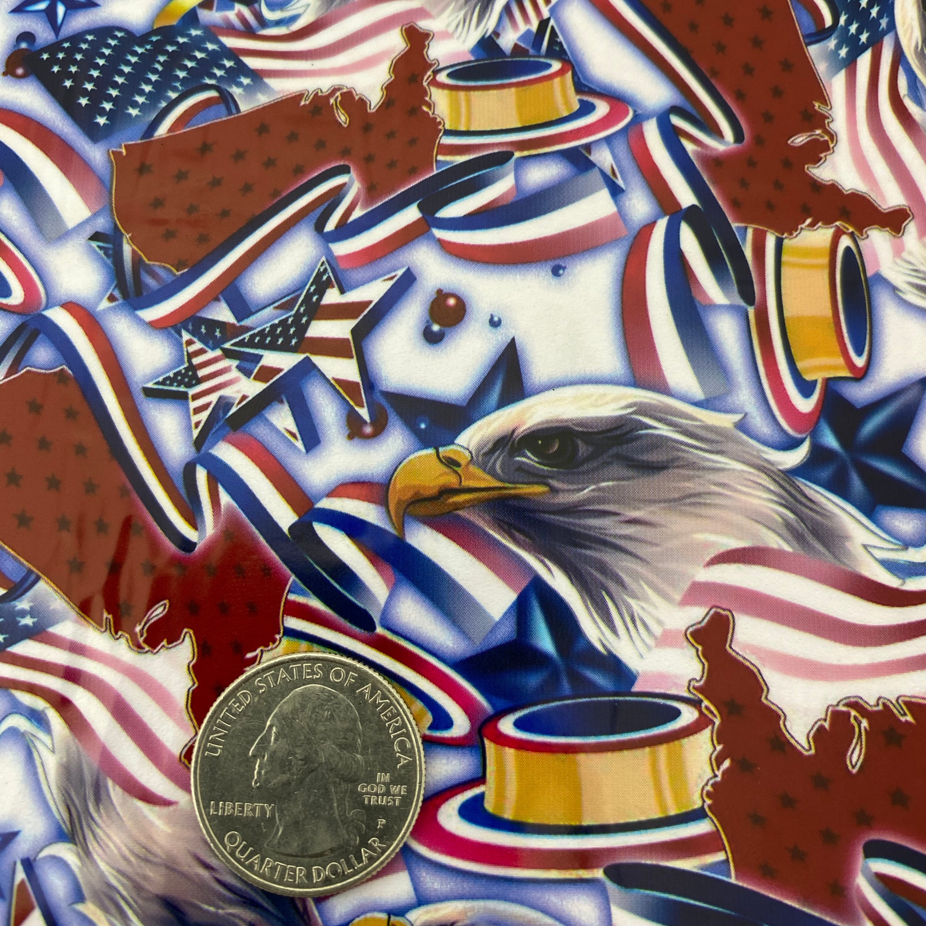 Hydrographic Film Full Kit hot Bald Eagle